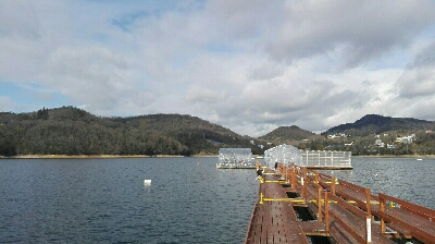 東条湖　ワカサギ釣り