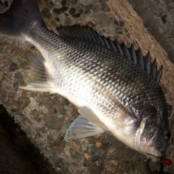 冬チニング開幕‼︎