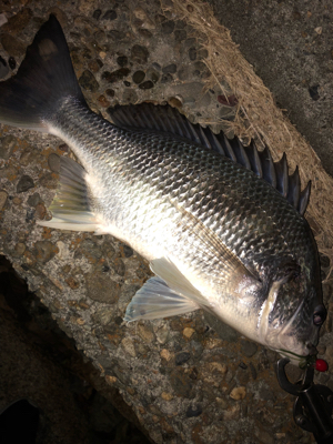 冬チニング開幕‼︎
