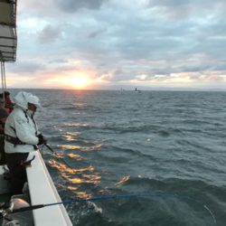 須磨沖の太刀魚