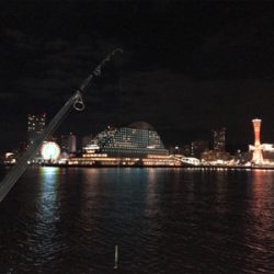 痛恨のフックアウト