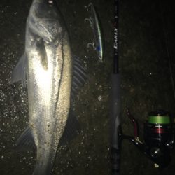 シーバァースの釣り納め