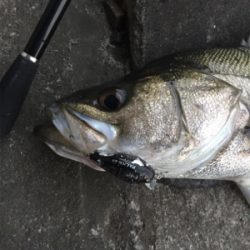 出勤前にちょっとだけ