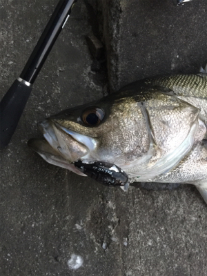 出勤前にちょっとだけ