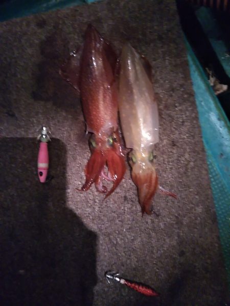 釣り納めイカメタル