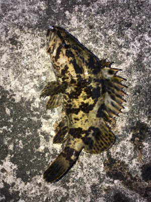 陽が落ちてから。