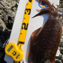 2017年の締めくくり