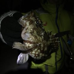年末恒例 帰省しての釣り納め