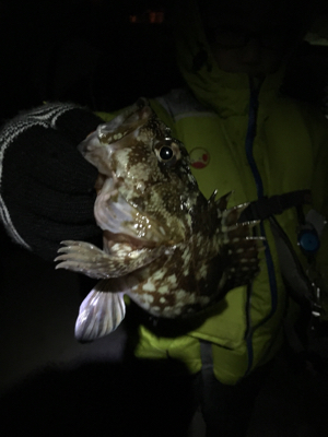 年末恒例 帰省しての釣り納め
