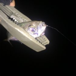 激渋パターン攻略！