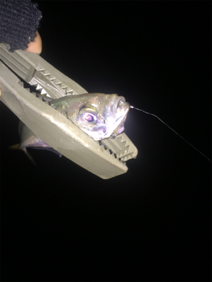 激渋パターン攻略！