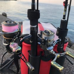 ガシララッシュ