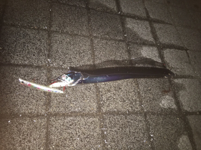 ラストタチウオ