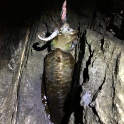 年内キロUP達成！