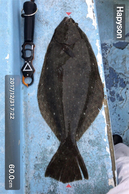 釣り納めは大原でヒラメ