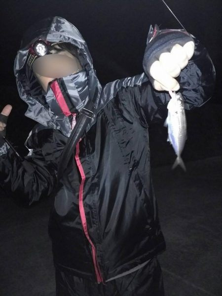 アジング釣行・・・