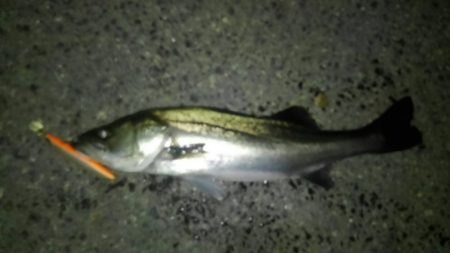 満員御礼&インターナショナル