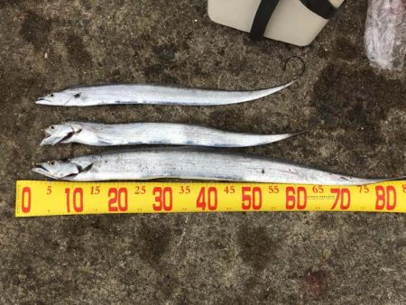 西宮ケーソンでドラゴン…に一歩及ばず(^^…