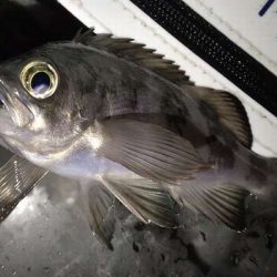 なんとかつ抜け