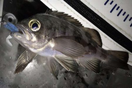 なんとかつ抜け