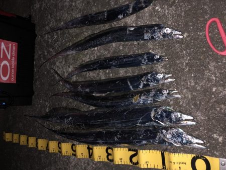 がっつり丸呑み！これがエサルアー！！