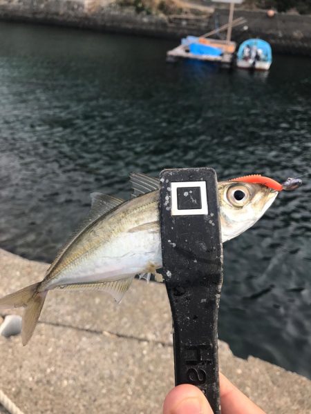 流離アジング 第2日目 昼 デイのが良い