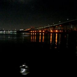 お隣さんは釣れてますけど！！