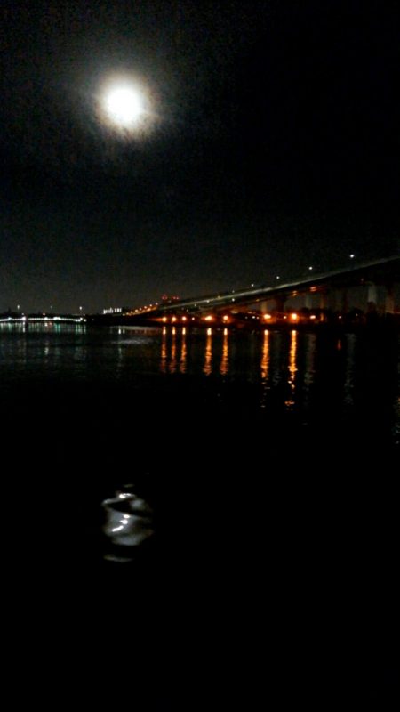 お隣さんは釣れてますけど！！