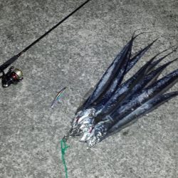 爆風の西宮ケーソンにて…。