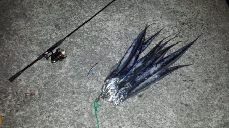 爆風の西宮ケーソンにて…。