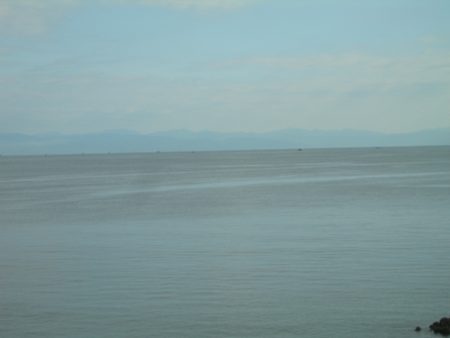 ショアジギングで本日もヒラスズキ