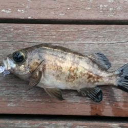 チェックインまでの１時間