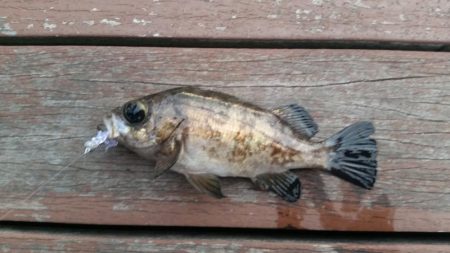 チェックインまでの１時間