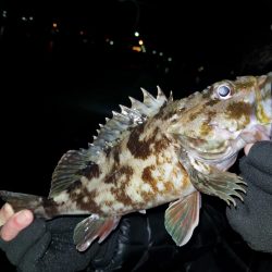 ライトワインド