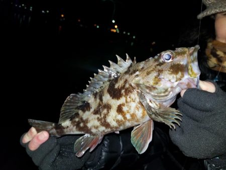 ライトワインド