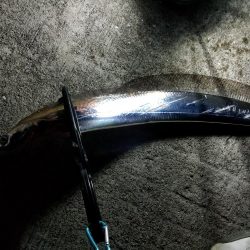 釣り納めの太刀魚