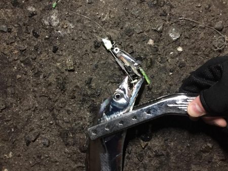 時間によりけり