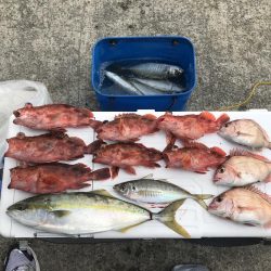 ガシラッシュ(船釣りバージョン)