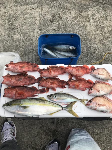 ガシラッシュ(船釣りバージョン)