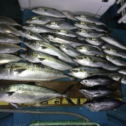 阿波哲ジギング