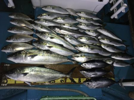 阿波哲ジギング