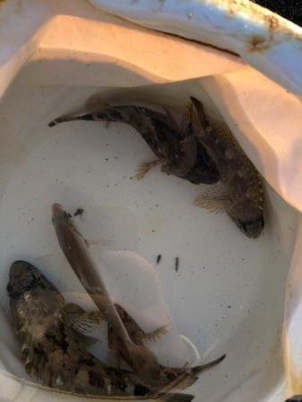 子供と小物釣り