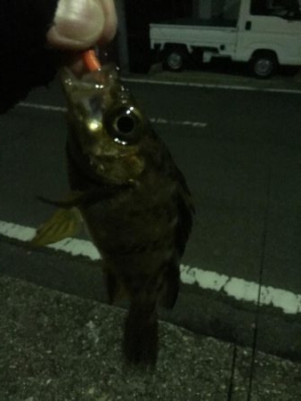 ライトライトライト