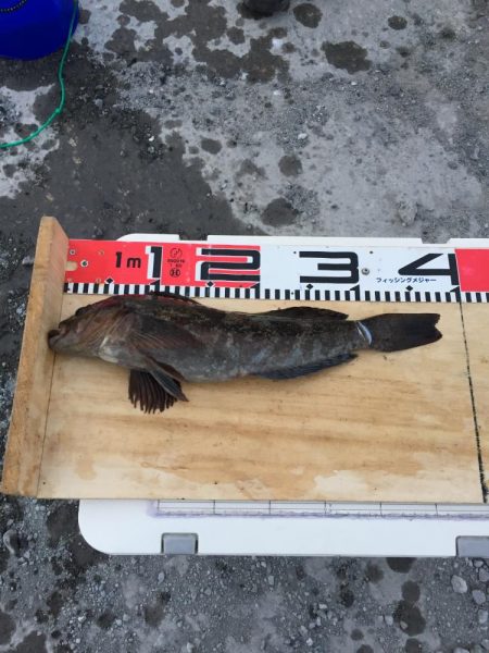 シーンとしてた日