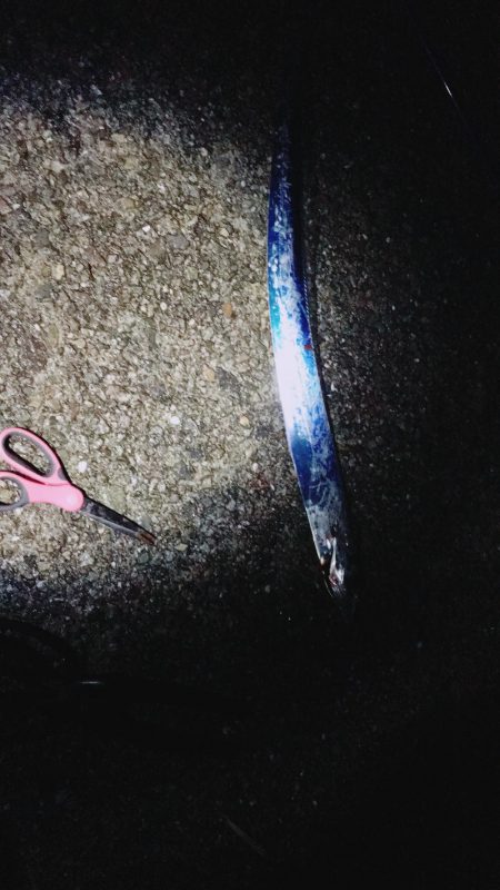 青物のはずが。