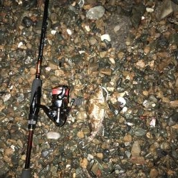 カサゴが良く釣れます。