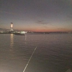 またまたメバリング