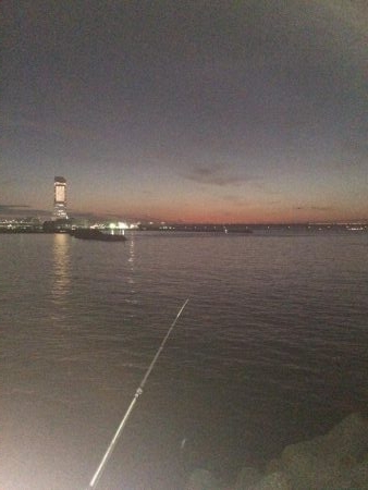 またまたメバリング