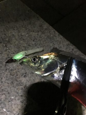 空いてるポイントで