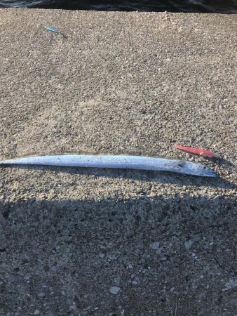 寒すぎてつらいけど